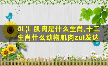 🦍 肌肉是什么生肖,十二生肖什么动物肌肉zui
发达
